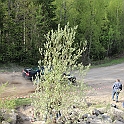 SSR-49