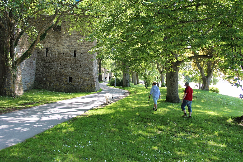Almedalen2012-006