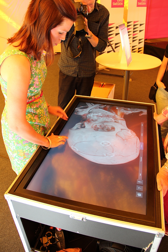Almedalen2012-009