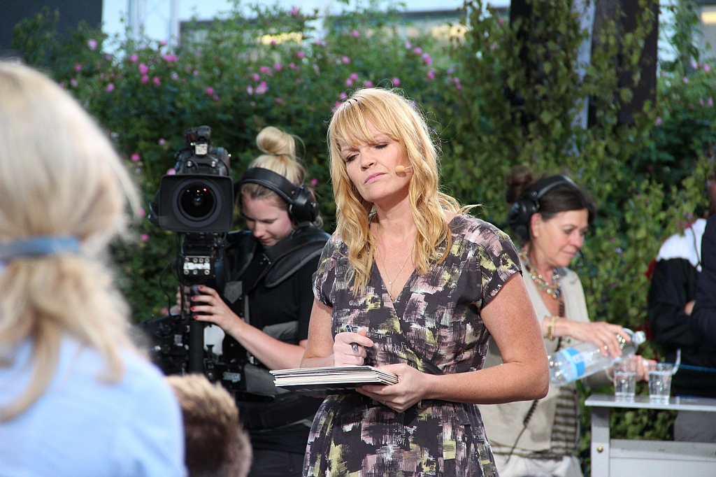 Almedalen2012-050