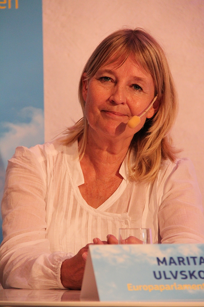 Almedalen2012-513