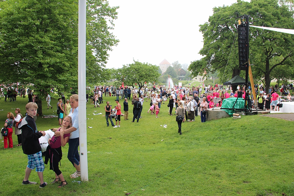 Almedalen2012-528