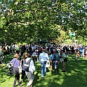 Almedalen2012-022