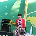 Almedalen2012-044