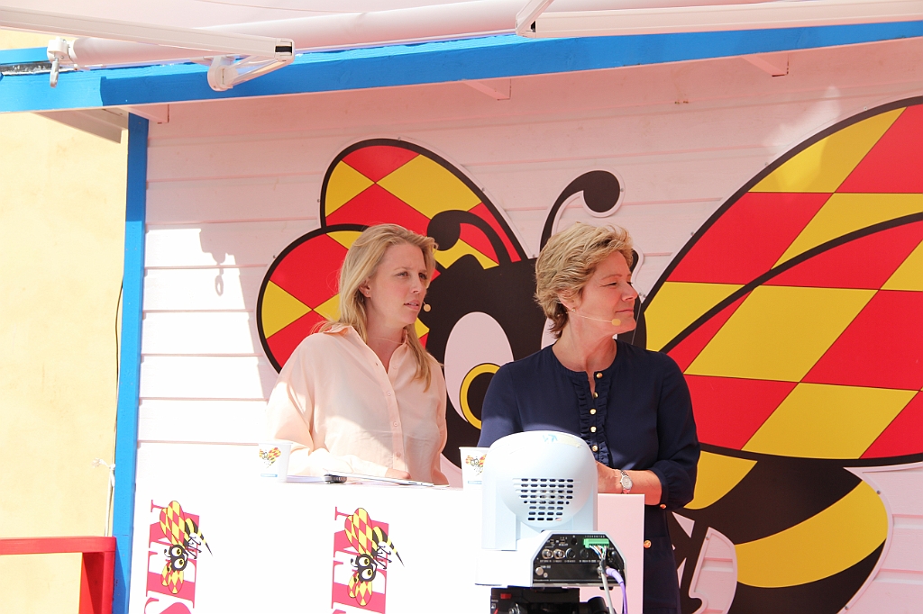 Almedalen2013-003