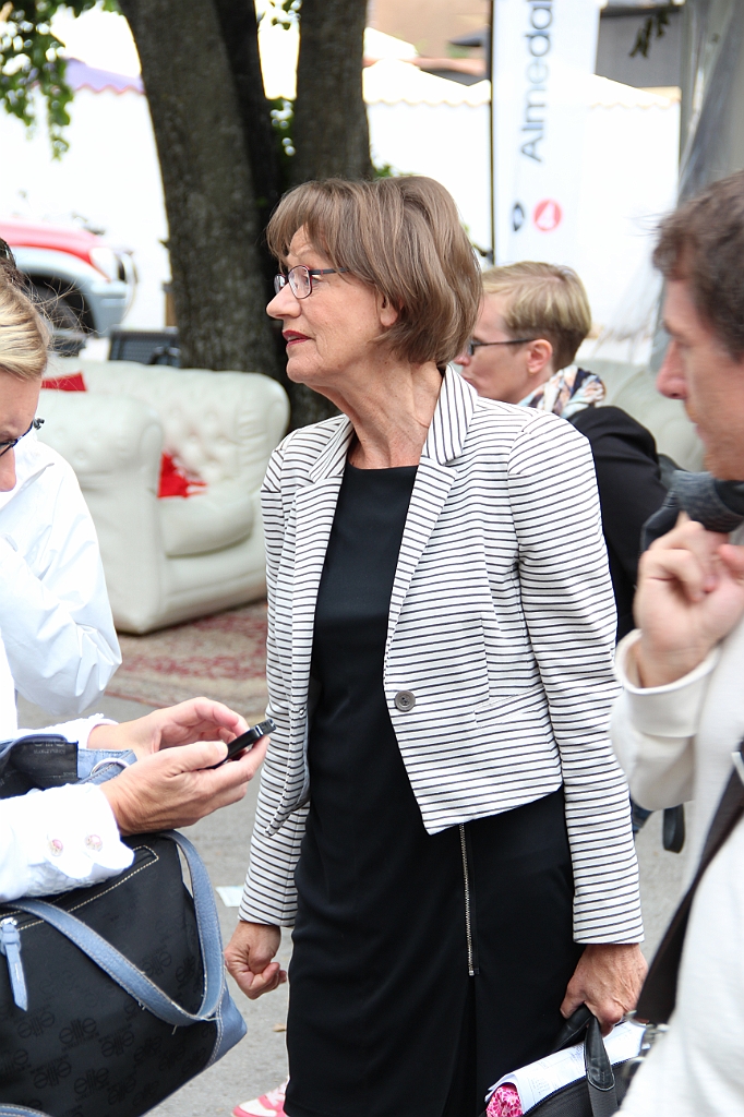 Almedalen2013-157