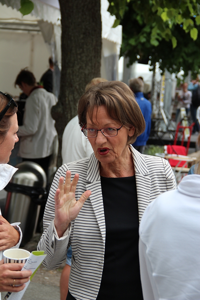 Almedalen2013-159