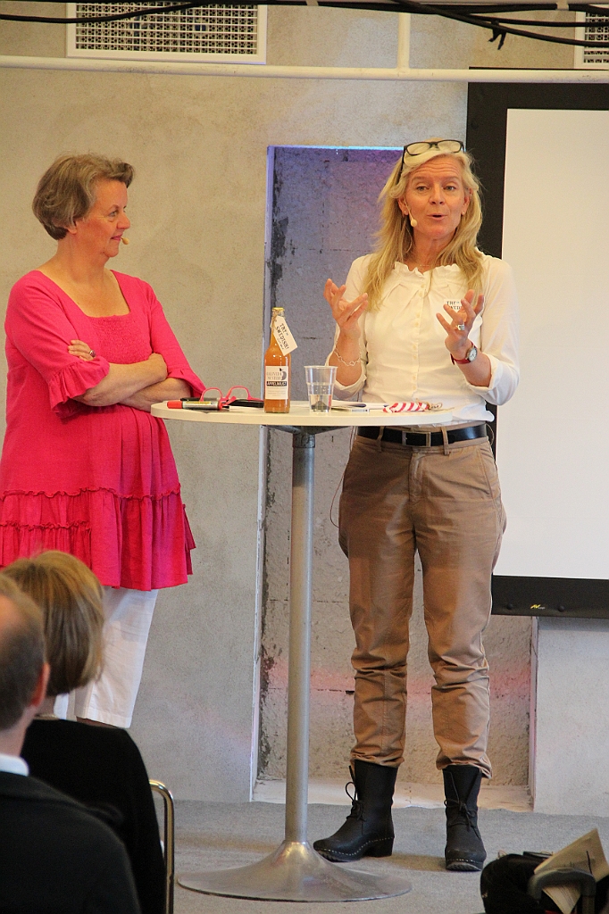 Almedalen2013-176