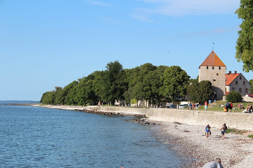 Almedalen2013-226