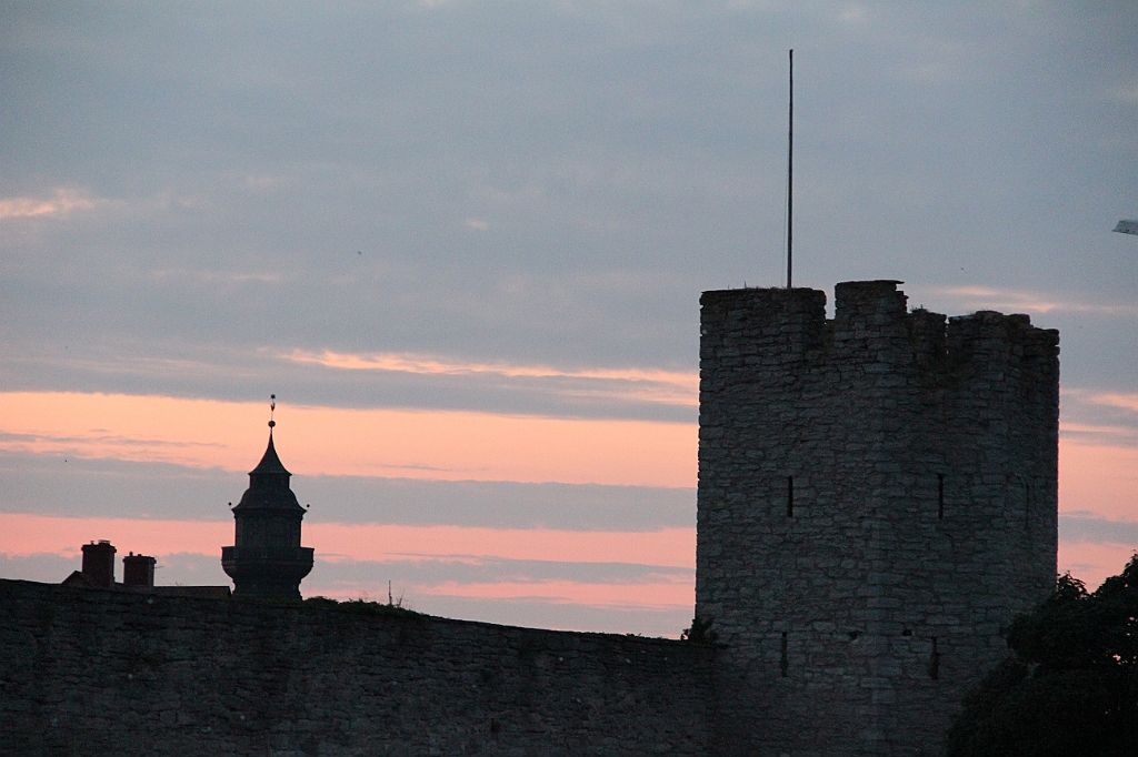 Almedalen2013-346
