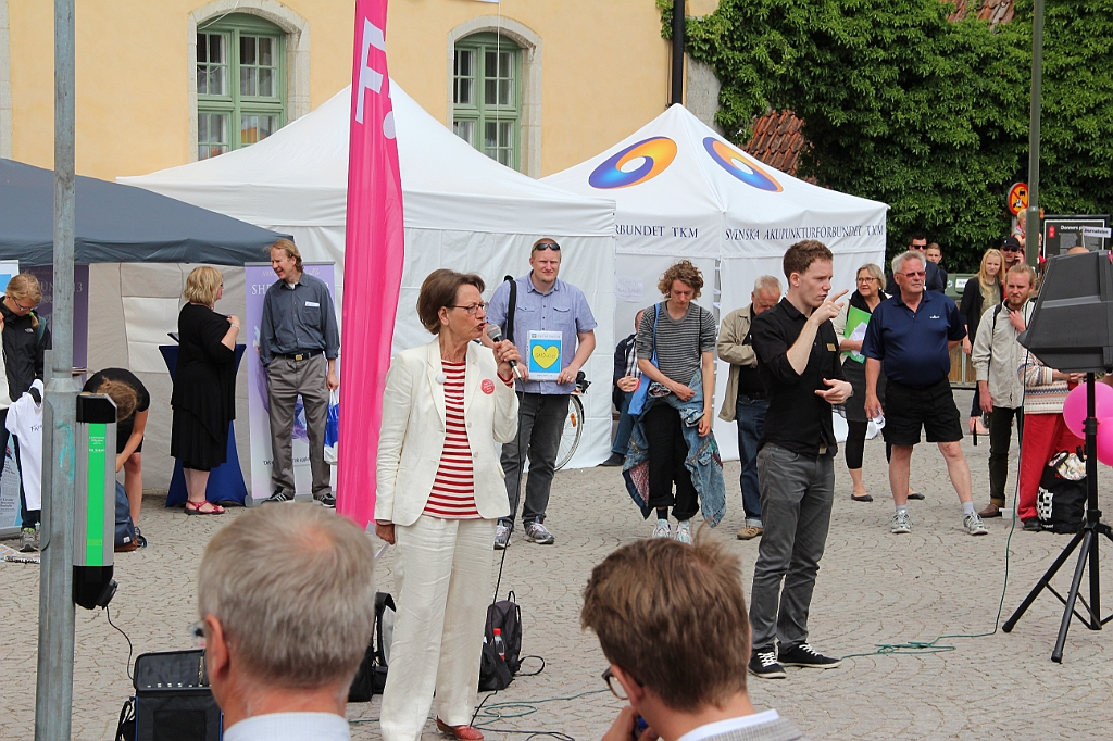 Almedalen2013-374