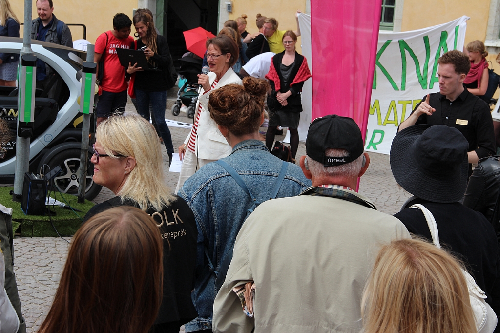 Almedalen2013-375