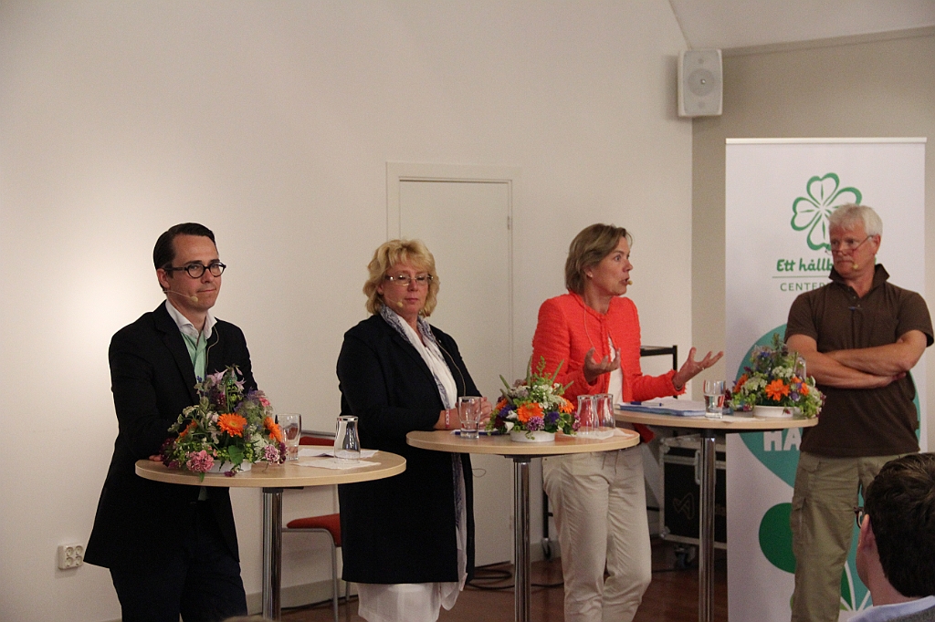 Almedalen2013-382