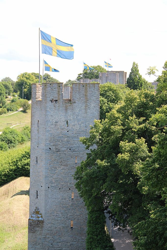 Almedalen2013-484