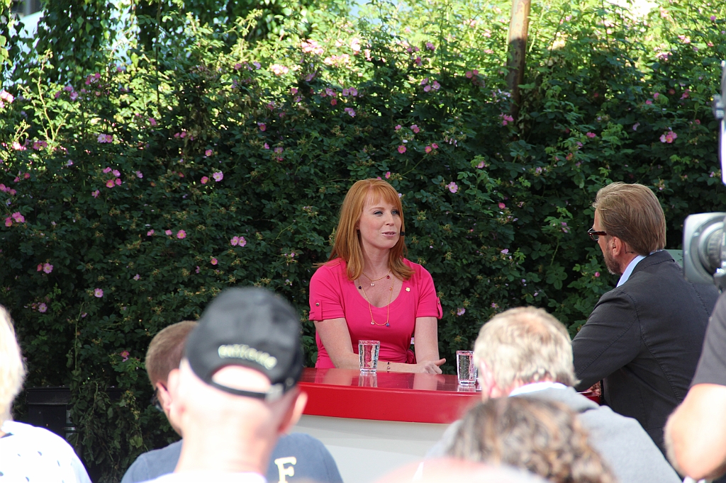 Almedalen2013-579