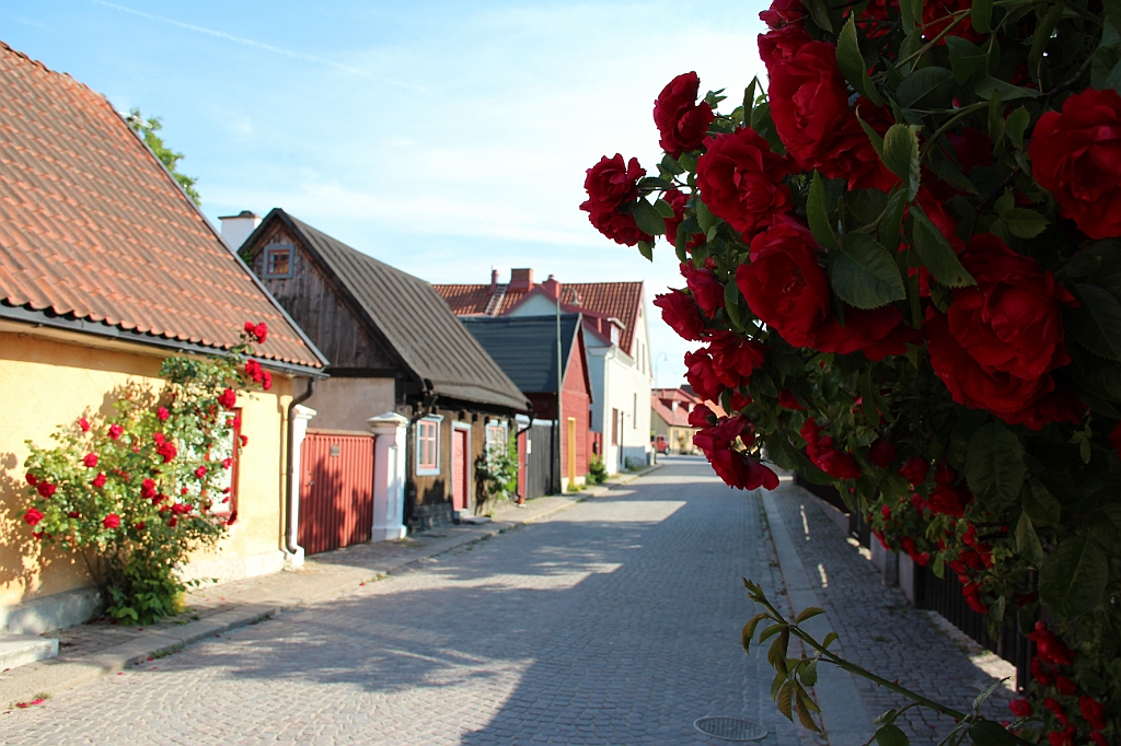 Almedalen2013-582