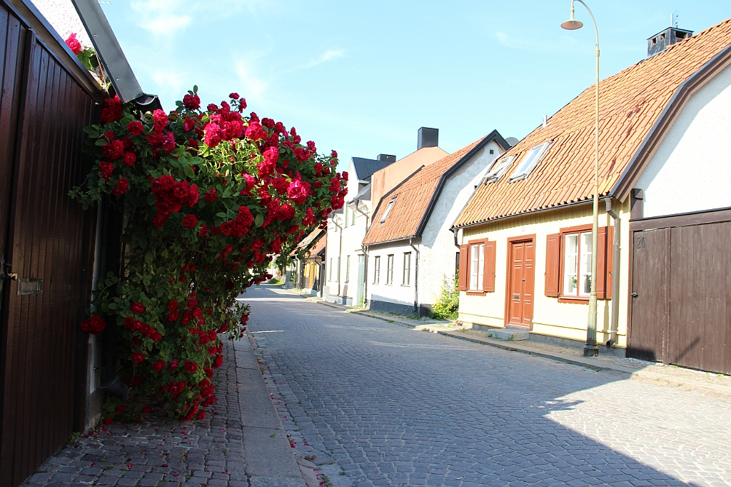 Almedalen2013-583