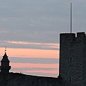 Almedalen2013-346