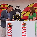 Almedalen2013-449