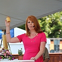 Almedalen2013-572