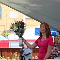 Almedalen2013-574