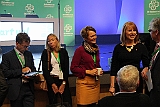Cstamma2013-022