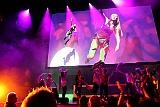 Cstamma2013-041