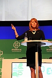 Cstamma2013-054
