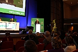 Cstamma2013-072