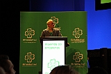 Cstamma2013-078