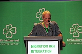 Cstamma2013-080