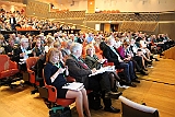 Cstamma2013-085
