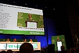 Cstamma2013-096