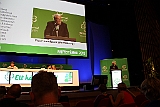 Cstamma2013-104