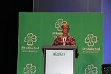 Cstamma2013-110
