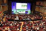 Cstamma2013-115