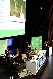 Cstamma2013-117