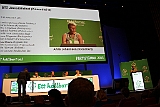 Cstamma2013-120
