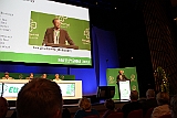 Cstamma2013-124