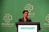 Cstamma2013-126