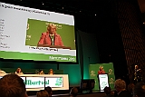 Cstamma2013-146