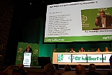 Cstamma2013-153