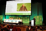 Cstamma2013-158