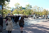 Cstamma2013-161