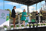 Cstamma2013-185