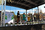 Cstamma2013-191