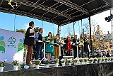 Cstamma2013-218