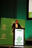 Cstamma2013-223