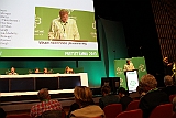 Cstamma2013-231