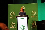 Cstamma2013-237